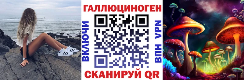 Купить где  Демидов  Галлюциногенные грибы Psilocybine cubensis 